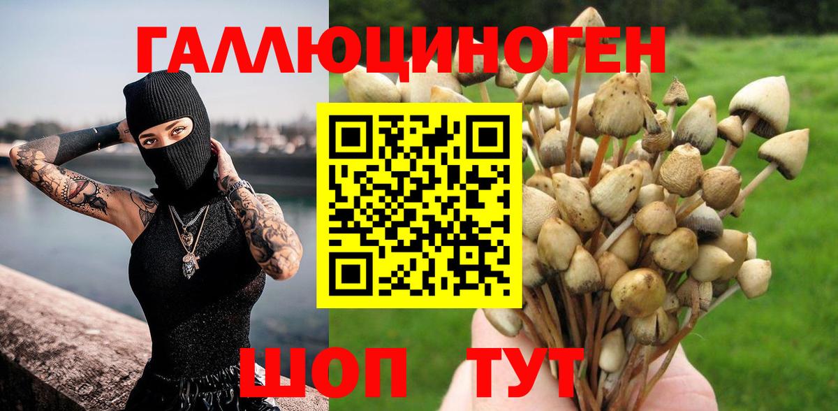 Галлюциногенные грибы мицелий  Вход с VPN  Нефтекумск  Галлюциногенные грибы ЛСД 